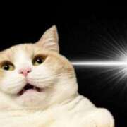 ヒメ日記 2025/08/31 13:41 投稿 めい ポッキリ学園 ～モテモテハーレムごっこ～