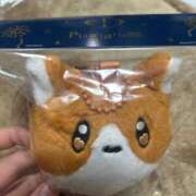 ヒメ日記 2025/09/07 09:58 投稿 めい ポッキリ学園 ～モテモテハーレムごっこ～