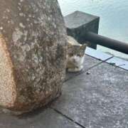 ヒメ日記 2025/09/12 14:01 投稿 めい ポッキリ学園 ～モテモテハーレムごっこ～