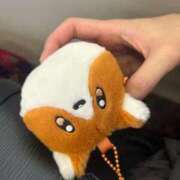 ヒメ日記 2025/09/13 11:51 投稿 めい ポッキリ学園 ～モテモテハーレムごっこ～