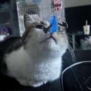 ヒメ日記 2025/09/14 13:21 投稿 めい ポッキリ学園 ～モテモテハーレムごっこ～