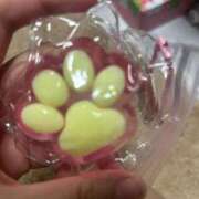 ヒメ日記 2025/09/18 11:21 投稿 めい ポッキリ学園 ～モテモテハーレムごっこ～