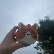 ヒメ日記 2025/09/27 11:02 投稿 めい ポッキリ学園 ～モテモテハーレムごっこ～