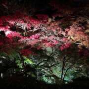 ヒメ日記 2025/10/31 10:01 投稿 めい ポッキリ学園 ～モテモテハーレムごっこ～