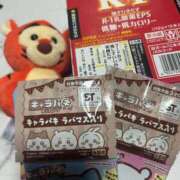 ヒメ日記 2025/11/26 09:21 投稿 めい ポッキリ学園 ～モテモテハーレムごっこ～