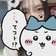 めい 2 ポッキリ学園 ～モテモテハーレムごっこ～