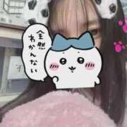 ヒメ日記 2025/12/15 11:01 投稿 めい ポッキリ学園 ～モテモテハーレムごっこ～