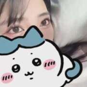 ヒメ日記 2025/12/17 12:50 投稿 めい ポッキリ学園 ～モテモテハーレムごっこ～