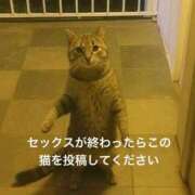 ヒメ日記 2025/12/24 12:50 投稿 めい ポッキリ学園 ～モテモテハーレムごっこ～