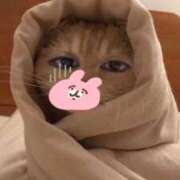 ヒメ日記 2025/12/29 13:41 投稿 めい ポッキリ学園 ～モテモテハーレムごっこ～