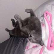 ヒメ日記 2025/12/31 08:05 投稿 めい ポッキリ学園 ～モテモテハーレムごっこ～