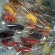 ヒメ日記 2026/02/17 11:01 投稿 めい ポッキリ学園 ～モテモテハーレムごっこ～