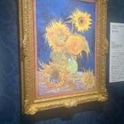 ヒメ日記 2026/03/11 21:41 投稿 めい ポッキリ学園 ～モテモテハーレムごっこ～