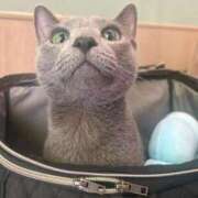 ヒメ日記 2026/03/15 15:01 投稿 めい ポッキリ学園 ～モテモテハーレムごっこ～