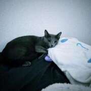 ヒメ日記 2026/03/16 10:11 投稿 めい ポッキリ学園 ～モテモテハーレムごっこ～