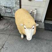 ヒメ日記 2026/04/13 14:41 投稿 めい ポッキリ学園 ～モテモテハーレムごっこ～