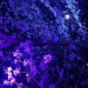 ヒメ日記 2026/04/16 13:12 投稿 めい ポッキリ学園 ～モテモテハーレムごっこ～