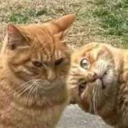 ヒメ日記 2026/04/17 07:51 投稿 めい ポッキリ学園 ～モテモテハーレムごっこ～