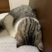 ヒメ日記 2025/07/08 04:31 投稿 ミナミ ラブコレクション