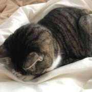 ヒメ日記 2025/07/31 15:31 投稿 ミナミ ラブコレクション