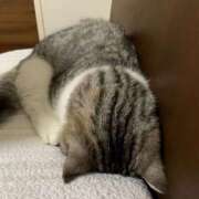 ヒメ日記 2025/10/29 23:01 投稿 ミナミ ラブコレクション