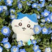 ミナミ ををを……… ラブコレクション