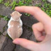 ヒメ日記 2026/03/03 10:31 投稿 ミナミ ラブコレクション