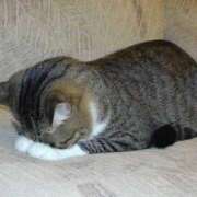 ヒメ日記 2024/12/10 11:02 投稿 えり 静岡ハンパじゃない伝説