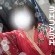 ヒメ日記 2025/03/11 22:35 投稿 みなみ さくらん