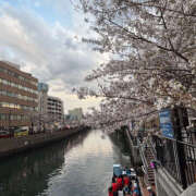 ヒメ日記 2025/04/25 17:13 投稿 みなみ さくらん