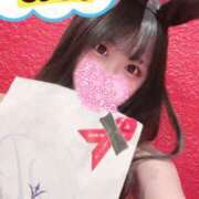 ヒメ日記 2024/12/15 19:04 投稿 モモ バニーコレクション千葉栄町店