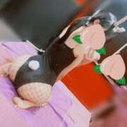 ヒメ日記 2025/12/31 07:01 投稿 モモ バニーコレクション千葉栄町店