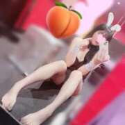 ヒメ日記 2026/01/28 20:15 投稿 モモ バニーコレクション千葉栄町店