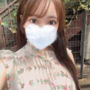 ヒメ日記 2025/08/09 14:37 投稿 輝姫らいか JKリフレ東京 秋葉原本店