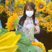 ヒメ日記 2025/08/16 13:20 投稿 輝姫らいか JKリフレ東京 秋葉原本店