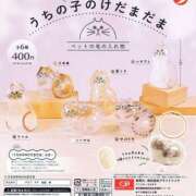 ヒメ日記 2025/06/12 23:07 投稿 体験新人ゆき 成田人妻最高級倶楽部