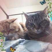 ヒメ日記 2025/06/16 23:04 投稿 体験新人ゆき 成田人妻最高級倶楽部