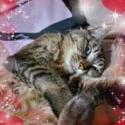 ヒメ日記 2025/07/07 18:32 投稿 体験新人ゆき 成田人妻最高級倶楽部