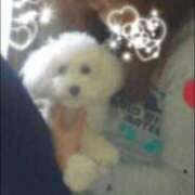 ヒメ日記 2025/10/05 00:32 投稿 はな 千姫(道後)