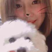 ヒメ日記 2026/01/16 16:56 投稿 はな 千姫(道後)