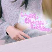 ヒメ日記 2024/12/17 20:24 投稿 るい 小田原人妻城