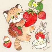 ヒメ日記 2025/03/03 14:14 投稿 るい 小田原人妻城