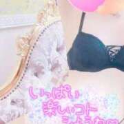 ヒメ日記 2025/04/28 19:33 投稿 るい 小田原人妻城