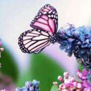 ヒメ日記 2025/06/24 19:19 投稿 るい 小田原人妻城