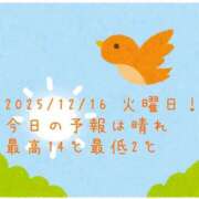 ヒメ日記 2025/12/16 08:16 投稿 るい 小田原人妻城