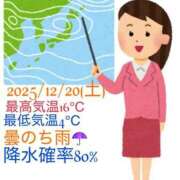 ヒメ日記 2025/12/20 08:08 投稿 るい 小田原人妻城