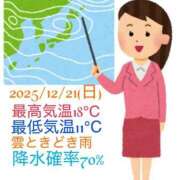 ヒメ日記 2025/12/21 07:32 投稿 るい 小田原人妻城