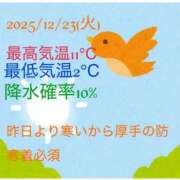 ヒメ日記 2025/12/23 07:35 投稿 るい 小田原人妻城