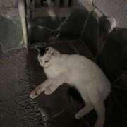 ヒメ日記 2026/02/06 13:21 投稿 るい 小田原人妻城