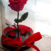 ヒメ日記 2026/02/12 19:56 投稿 るい 小田原人妻城